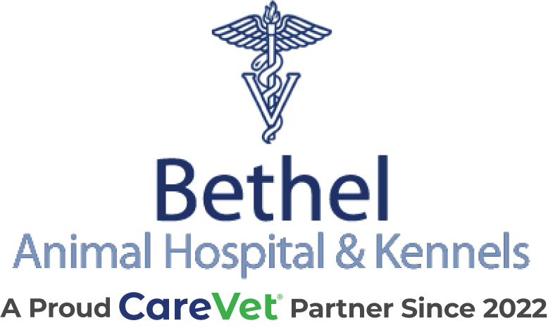 Bethel Animal Hospital Logo